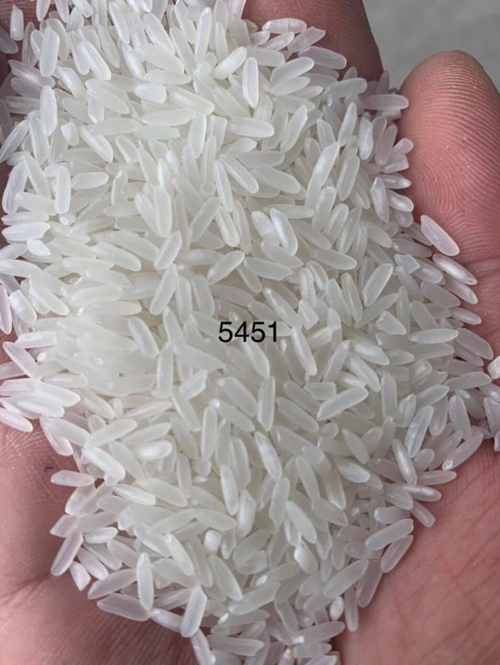 Gạo 5451