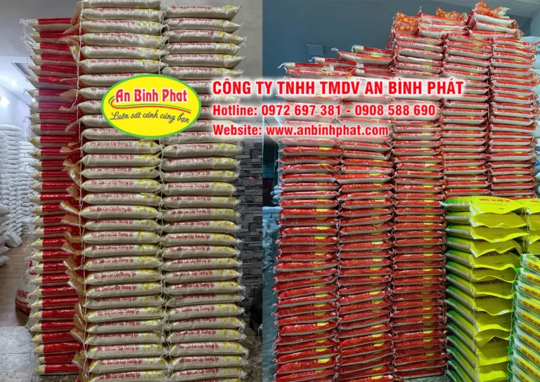Kho Gạo Từ Thiện Giá Rẻ Tại TPHCM